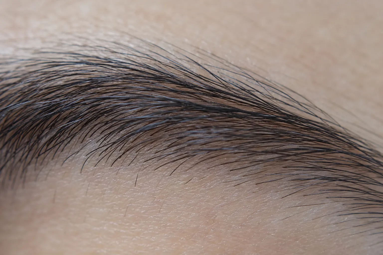 Vue macro d’un sourcil seul, poils et peau nue, sans maquillage ni visage visible